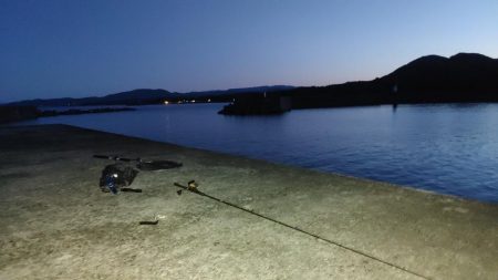 鰻釣れた!!　ホントは引っ掛かった(苦笑)