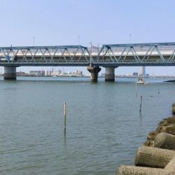 淀川テナガエビ釣り