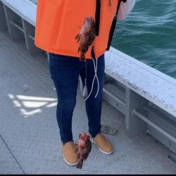 白鶴丸でガシラ釣り