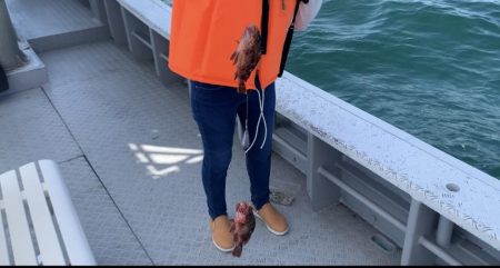 白鶴丸でガシラ釣り