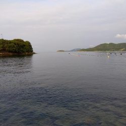 室津のキス釣り