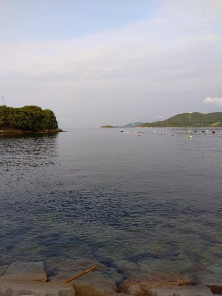 室津のキス釣り