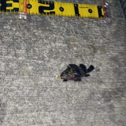 林崎漁港から移動してみました♪