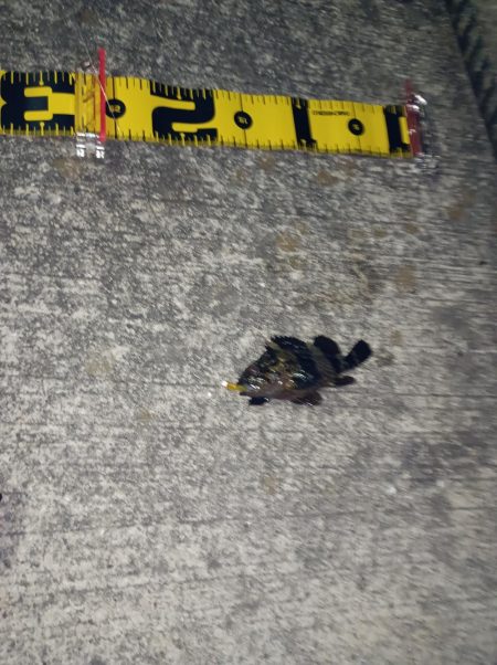 林崎漁港から移動してみました♪