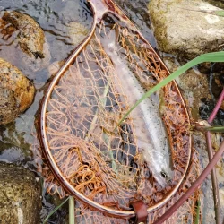 海破れて久々の川へ