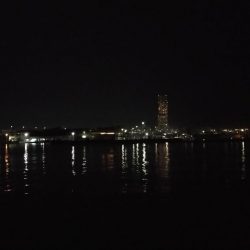 車中泊でタコ釣り