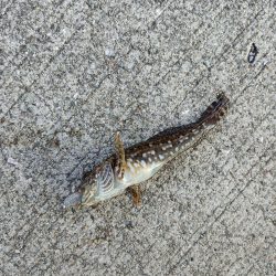 ~風の強い夕方に~