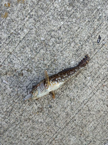 ~風の強い夕方に~