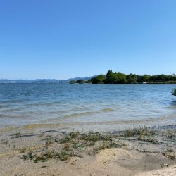 琵琶湖でハス釣り！まさかの外道が。。。