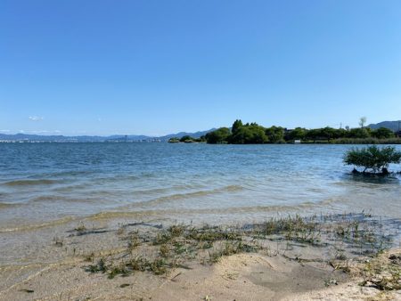 琵琶湖でハス釣り！まさかの外道が。。。