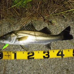 水位の高いコンディションでのカケアガリの攻め