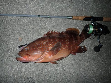 終了間際に会心の一撃(^^)