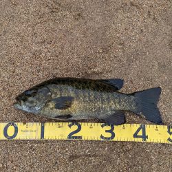 栄光のRJペンシル