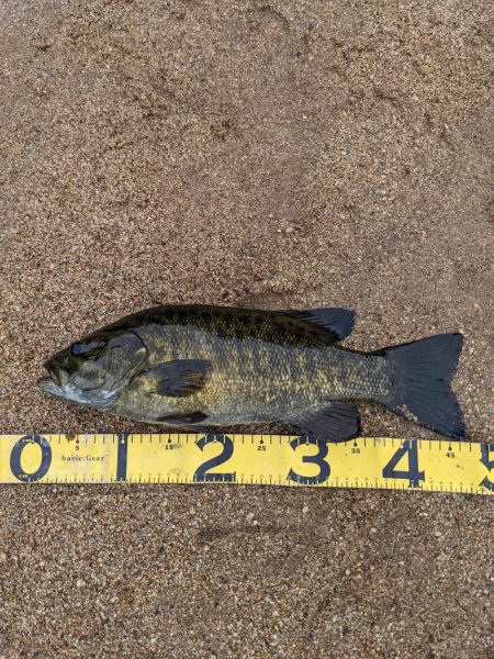 栄光のRJペンシル