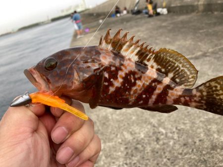 2年ぶりの釣り大会