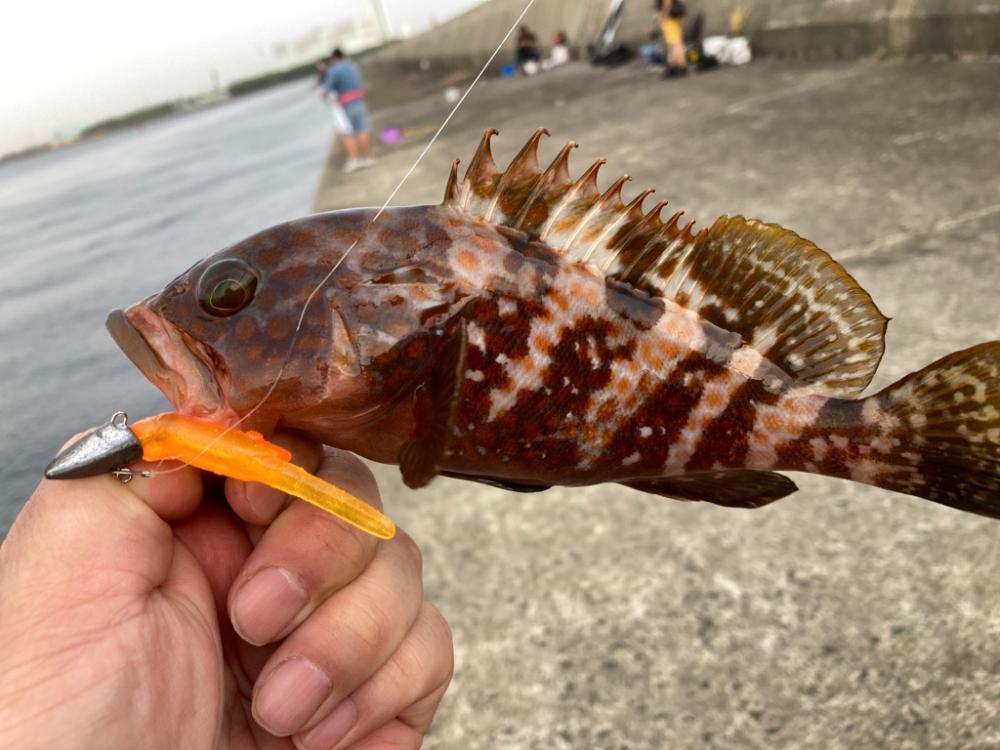 2年ぶりの釣り大会