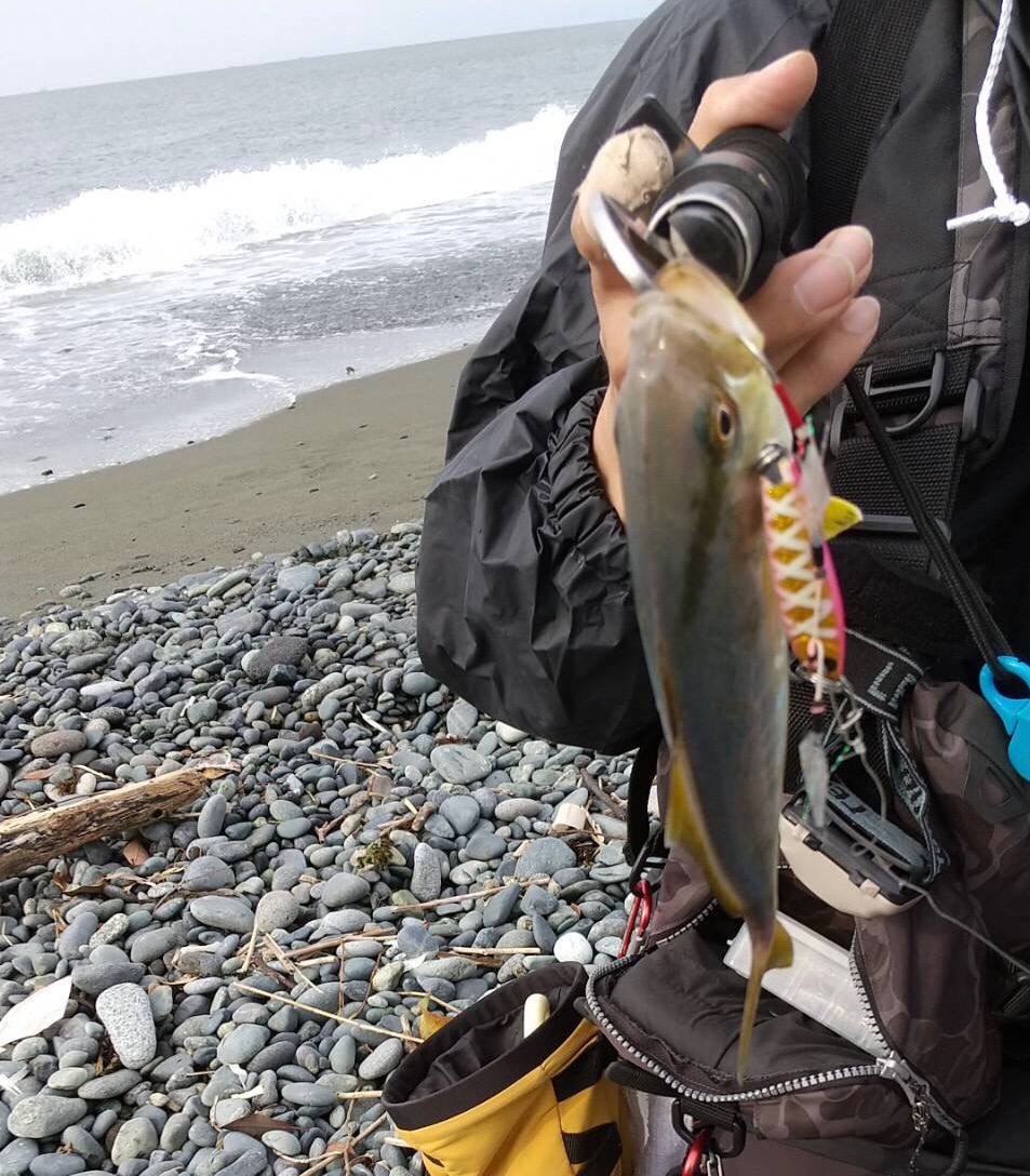 ちっさいショゴちゃん