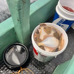 船釣りin紋別沖