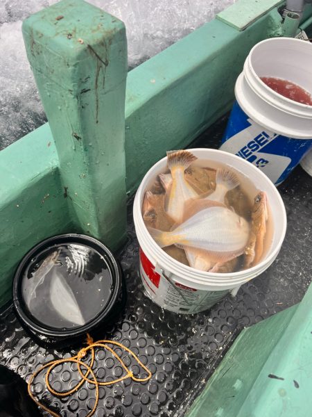 船釣りin紋別沖