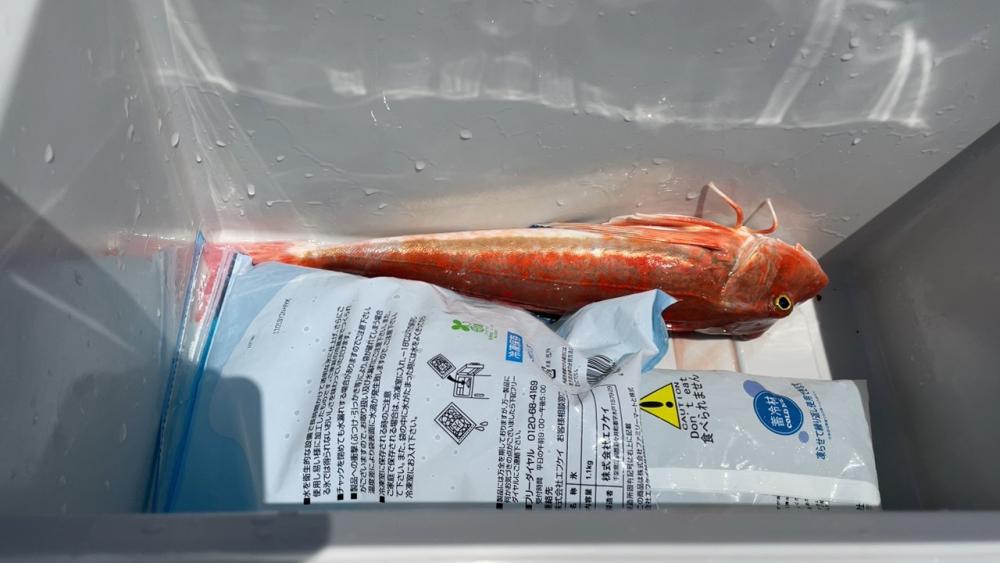 なんとか釣れた！