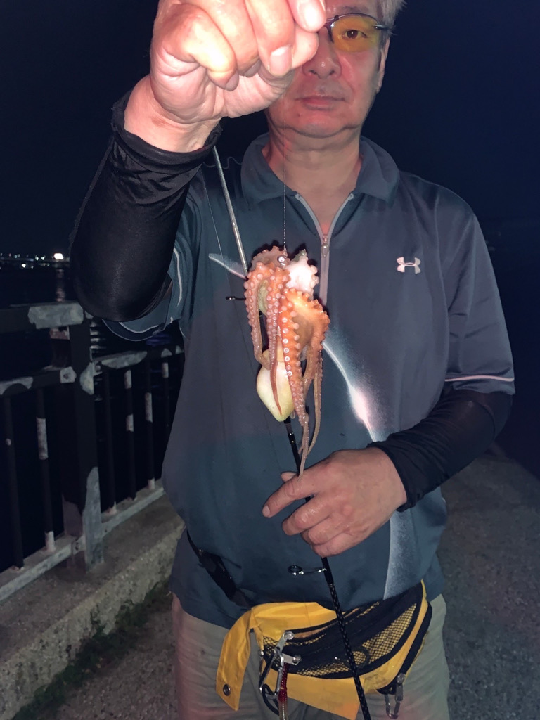 貝塚水路でアナゴ、タコ新子、アブシンかい