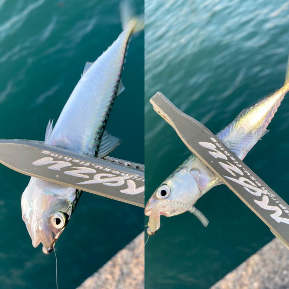 自己最小サイズ