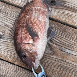 ハリミツ社員研修に同行！