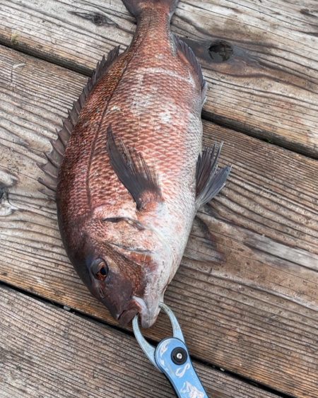 ハリミツ社員研修に同行！