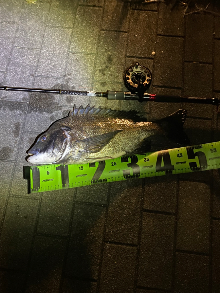 ヘチってきました