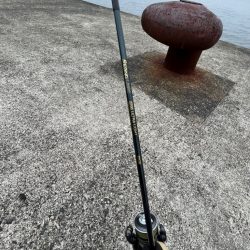 ブリ狙でモジャコに癒される