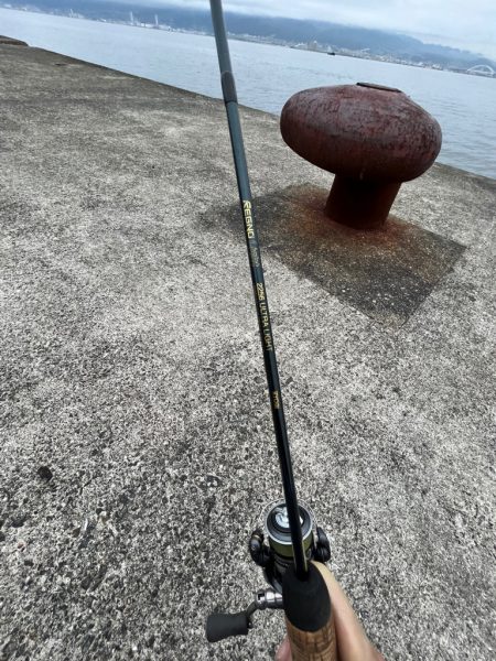 ブリ狙でモジャコに癒される