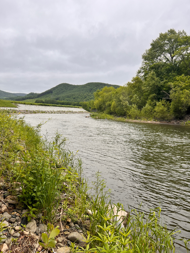 渓流ルアーフィッシング