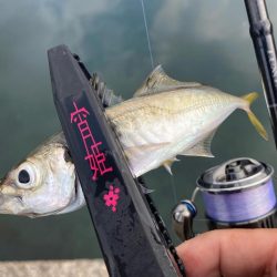 宵姫天S52UL鱗付け