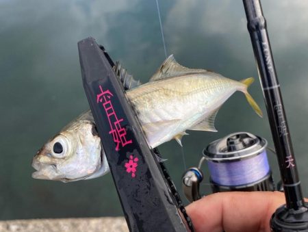 宵姫天S52UL鱗付け