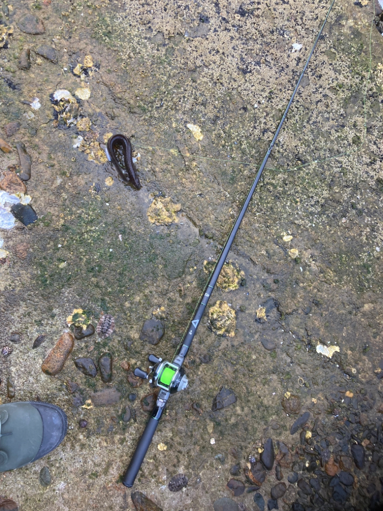 2022釣行37日目/穴釣り14回目