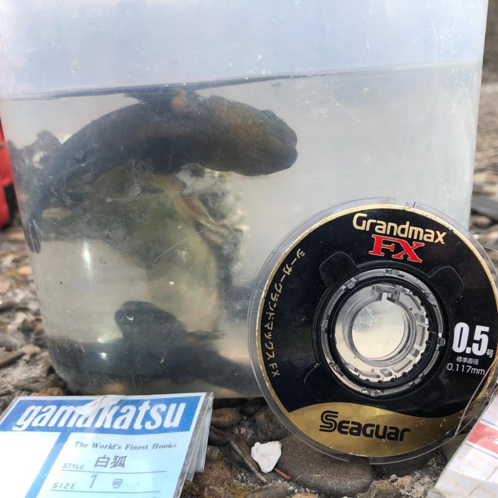 楽しい夕方のひと時(^ ^)