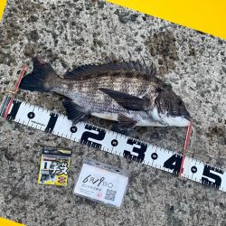 ウキが消し込み下へと引き込む