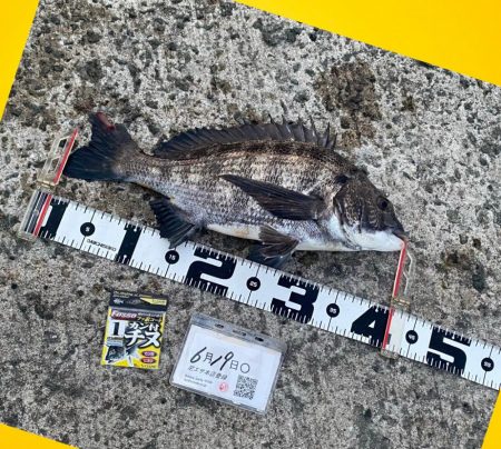 ウキが消し込み下へと引き込む