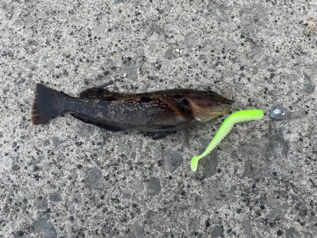 6月22日ヒラメ釣行!