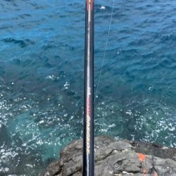 45センチオーバーのグレ！