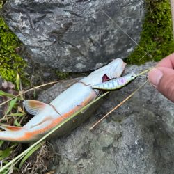 渓流ルアーフィッシング