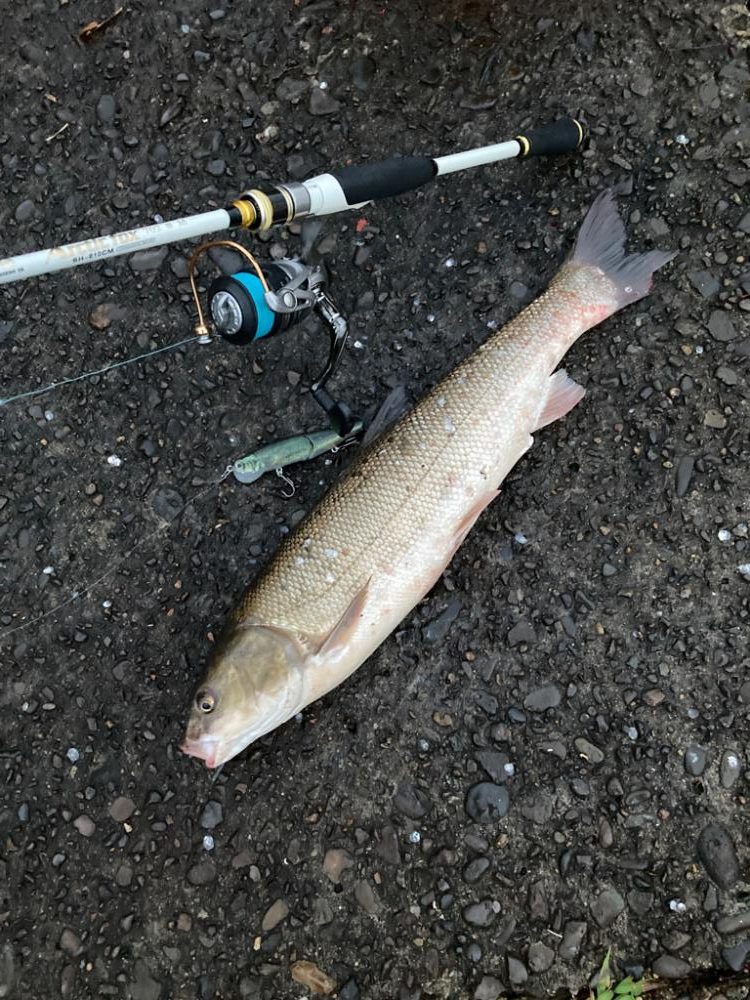 遊んでいたのにゴメン！