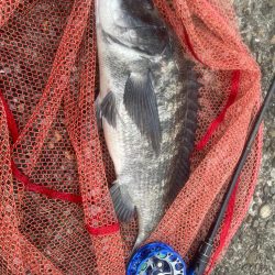 自己記録更新！