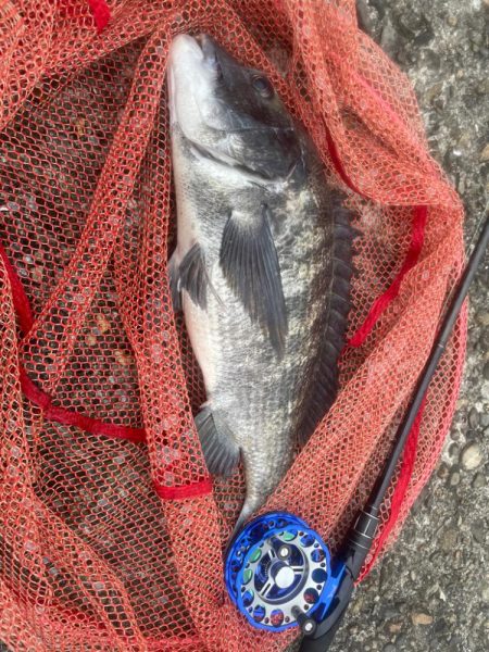 自己記録更新！