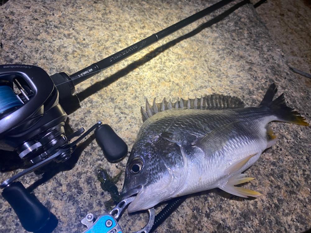 淀川ブリームゲーム 22シルバーウルフmx 76MLB-S鱗付け