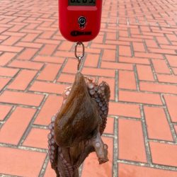 ⭐︎ぎりテイクアウトサイズ