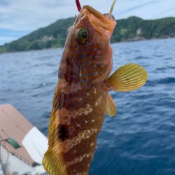 マイボートでいつものアマダイ釣行！