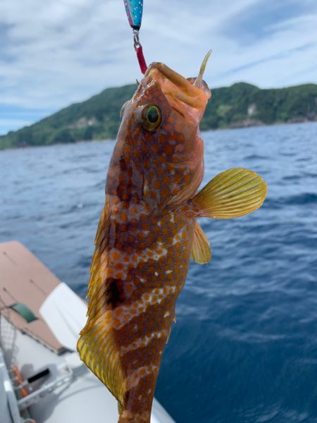 マイボートでいつものアマダイ釣行！