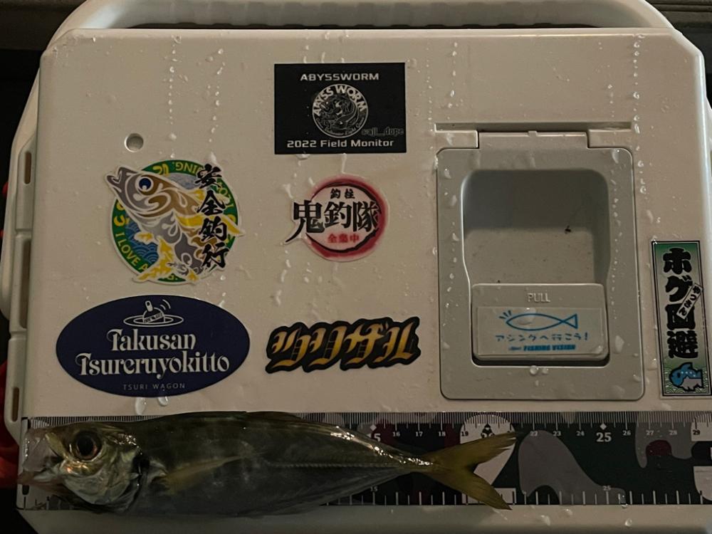 ボートアジング2回目