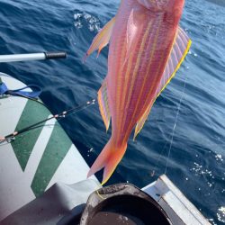 マイボートでアマダイ釣行。